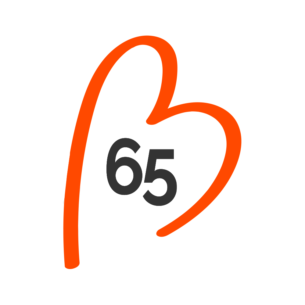 benevolat65 Logo